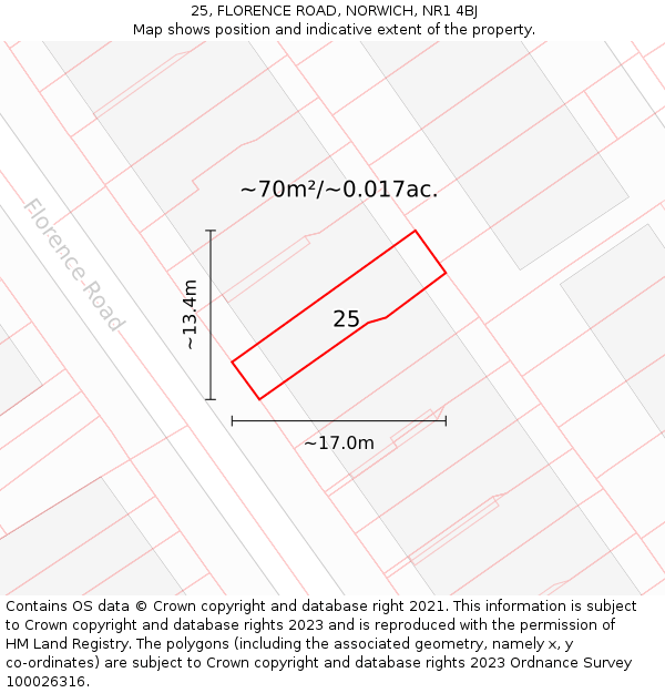25, FLORENCE ROAD, NORWICH, NR1 4BJ: Plot and title map