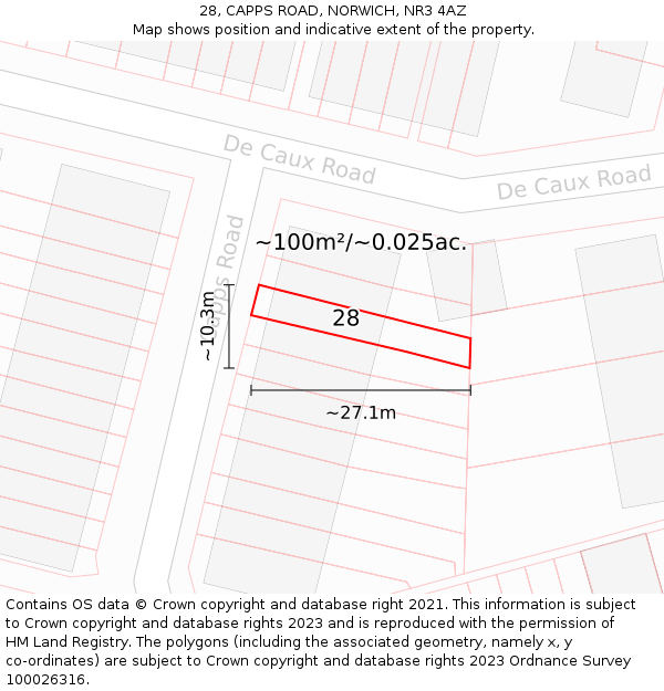 28, CAPPS ROAD, NORWICH, NR3 4AZ: Plot and title map