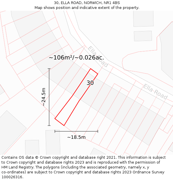30, ELLA ROAD, NORWICH, NR1 4BS: Plot and title map
