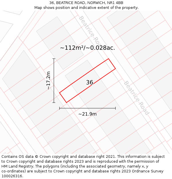 36, BEATRICE ROAD, NORWICH, NR1 4BB: Plot and title map