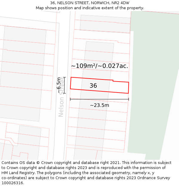 36, NELSON STREET, NORWICH, NR2 4DW: Plot and title map