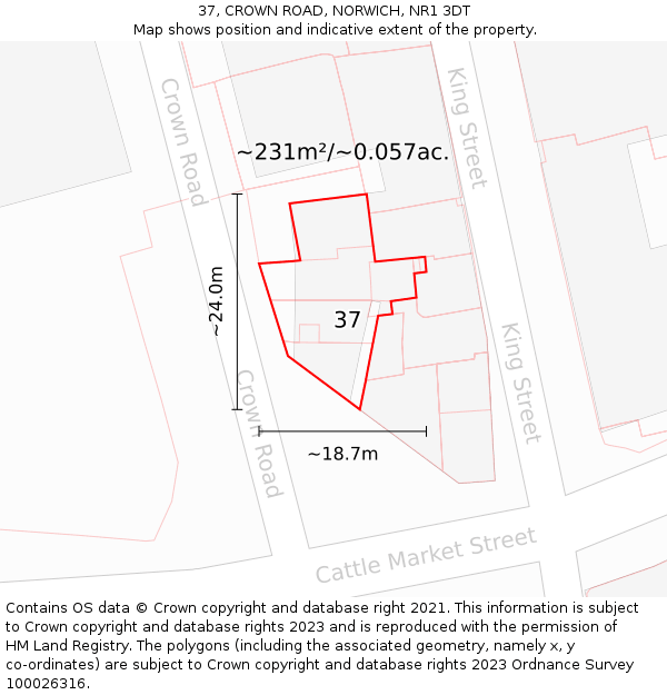 37, CROWN ROAD, NORWICH, NR1 3DT: Plot and title map