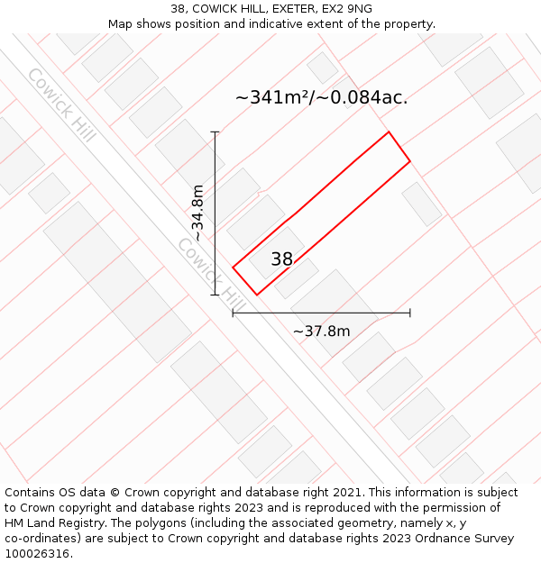 38, COWICK HILL, EXETER, EX2 9NG: Plot and title map