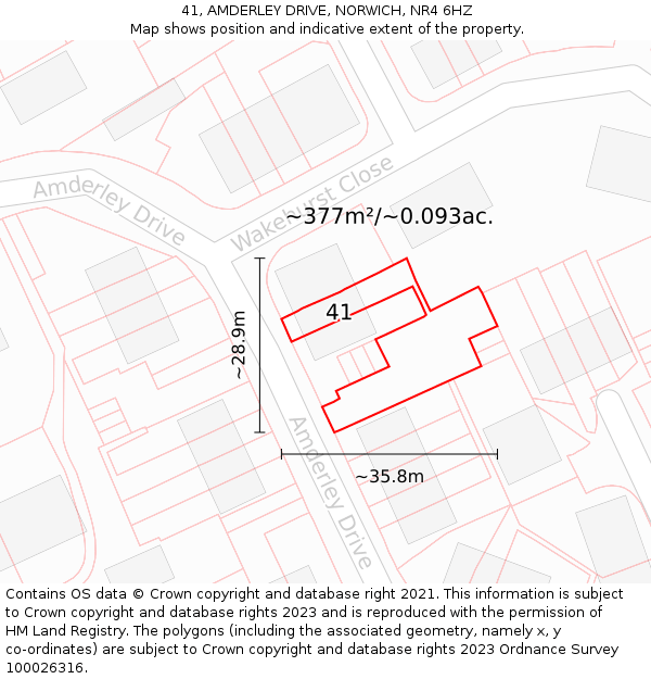 41, AMDERLEY DRIVE, NORWICH, NR4 6HZ: Plot and title map