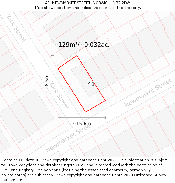 41, NEWMARKET STREET, NORWICH, NR2 2DW: Plot and title map