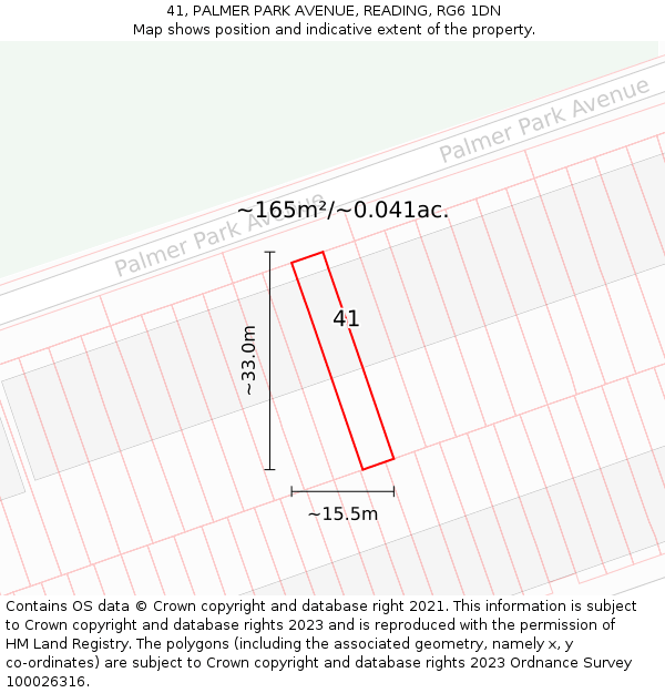 41, PALMER PARK AVENUE, READING, RG6 1DN: Plot and title map