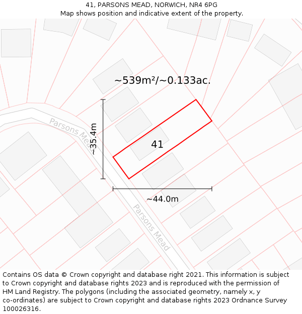 41, PARSONS MEAD, NORWICH, NR4 6PG: Plot and title map