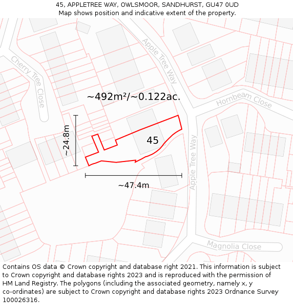 45, APPLETREE WAY, OWLSMOOR, SANDHURST, GU47 0UD: Plot and title map
