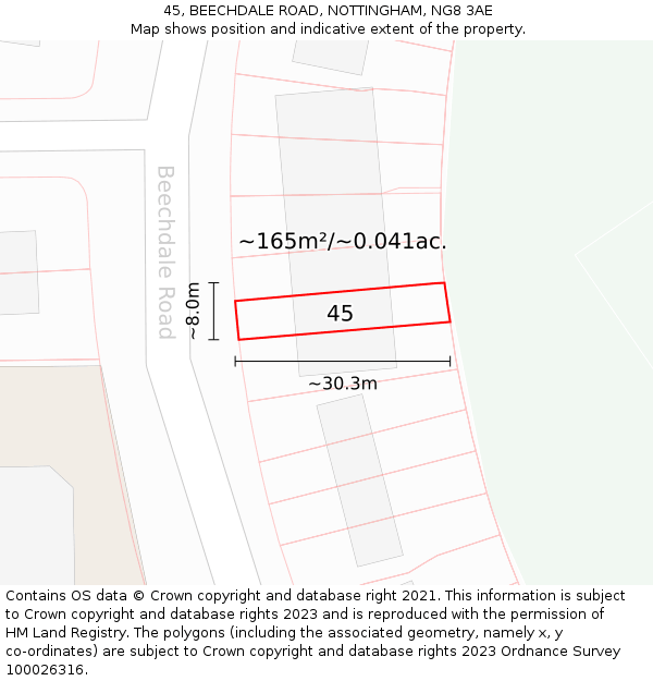45, BEECHDALE ROAD, NOTTINGHAM, NG8 3AE: Plot and title map