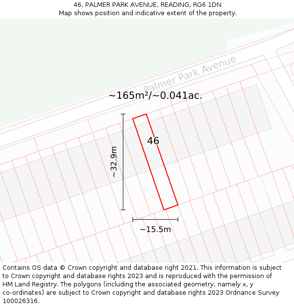 46, PALMER PARK AVENUE, READING, RG6 1DN: Plot and title map