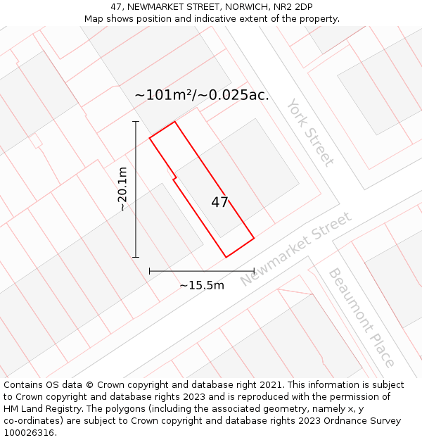 47, NEWMARKET STREET, NORWICH, NR2 2DP: Plot and title map