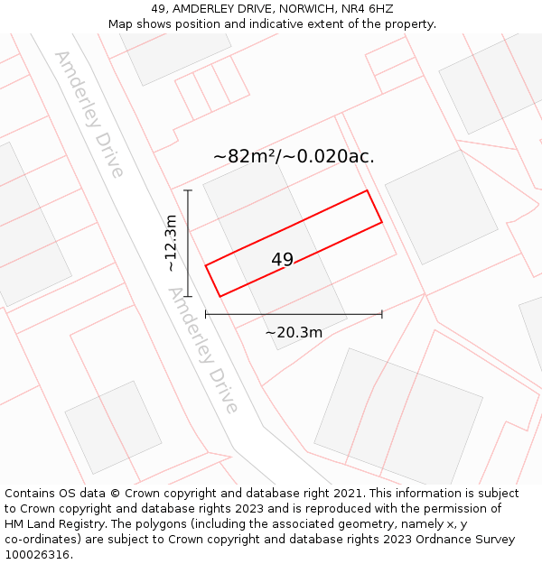 49, AMDERLEY DRIVE, NORWICH, NR4 6HZ: Plot and title map
