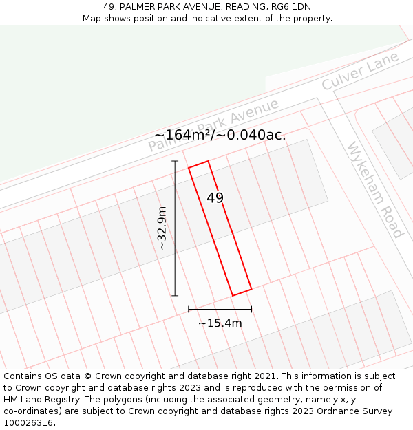 49, PALMER PARK AVENUE, READING, RG6 1DN: Plot and title map