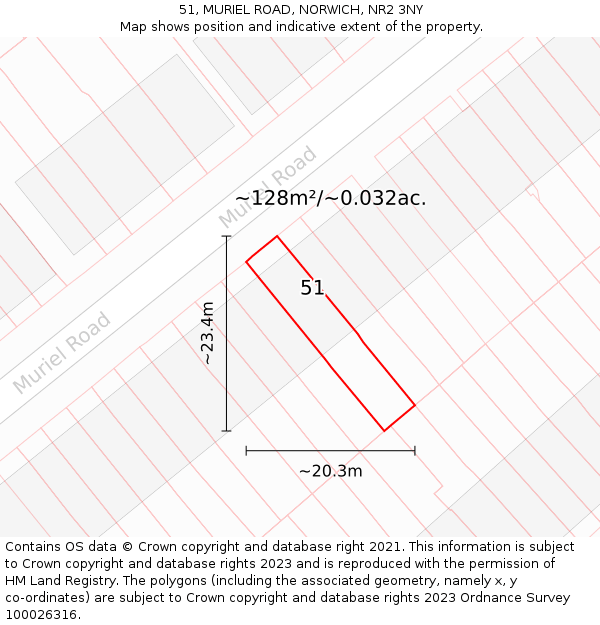 51, MURIEL ROAD, NORWICH, NR2 3NY: Plot and title map