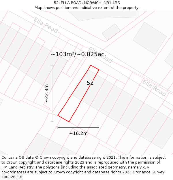 52, ELLA ROAD, NORWICH, NR1 4BS: Plot and title map