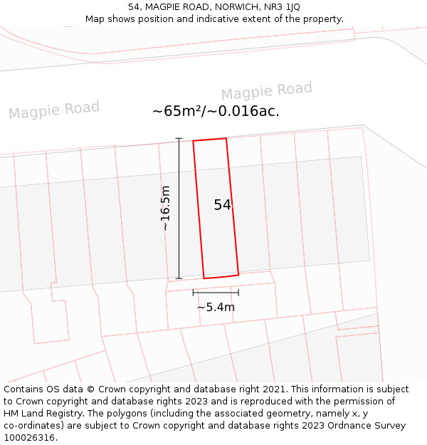 54, MAGPIE ROAD, NORWICH, NR3 1JQ: Plot and title map