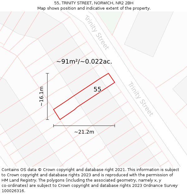 55, TRINITY STREET, NORWICH, NR2 2BH: Plot and title map