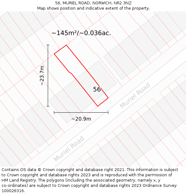56, MURIEL ROAD, NORWICH, NR2 3NZ: Plot and title map