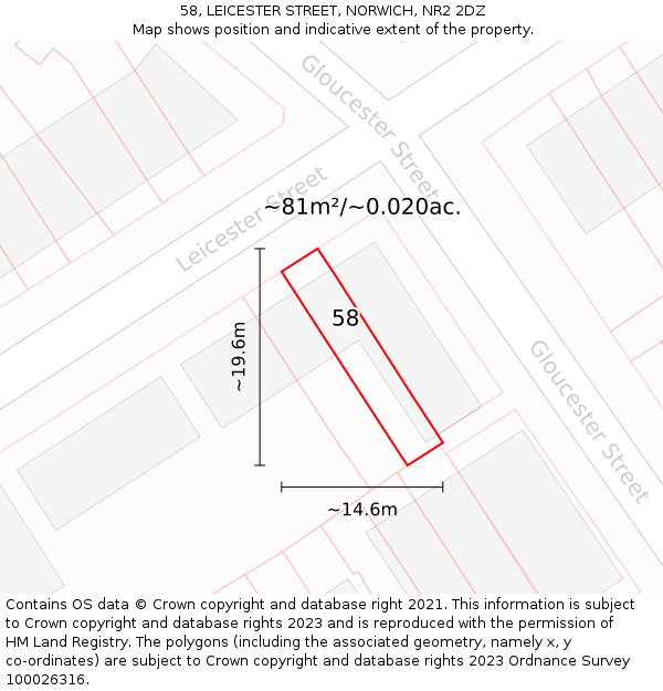 58, LEICESTER STREET, NORWICH, NR2 2DZ: Plot and title map