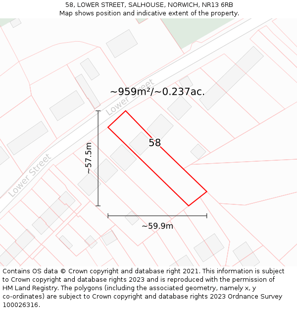 58, LOWER STREET, SALHOUSE, NORWICH, NR13 6RB: Plot and title map