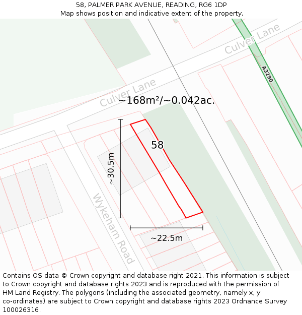 58, PALMER PARK AVENUE, READING, RG6 1DP: Plot and title map