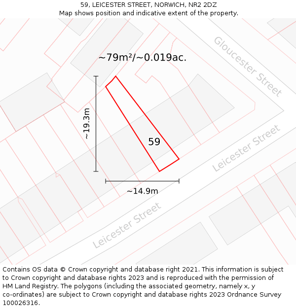 59, LEICESTER STREET, NORWICH, NR2 2DZ: Plot and title map