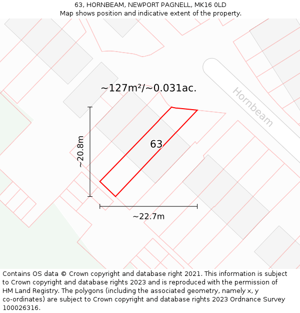 63, HORNBEAM, NEWPORT PAGNELL, MK16 0LD: Plot and title map