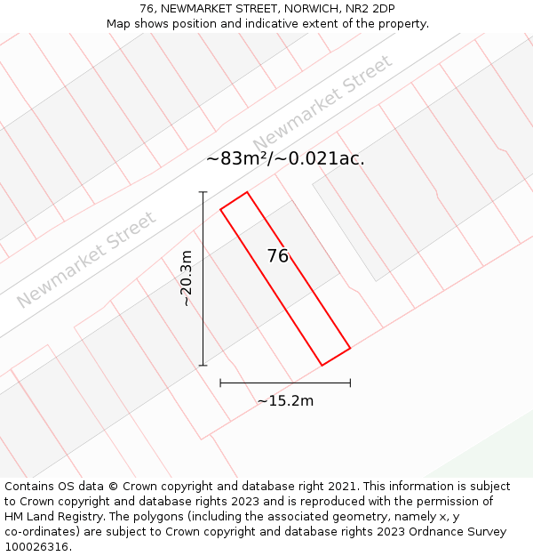 76, NEWMARKET STREET, NORWICH, NR2 2DP: Plot and title map