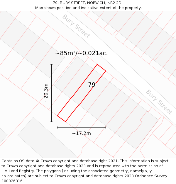 79, BURY STREET, NORWICH, NR2 2DL: Plot and title map
