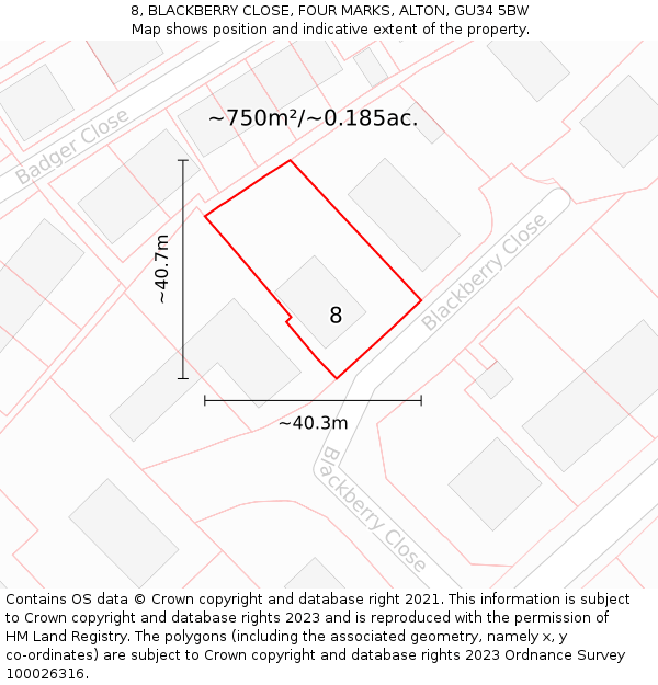 8, BLACKBERRY CLOSE, FOUR MARKS, ALTON, GU34 5BW: Plot and title map