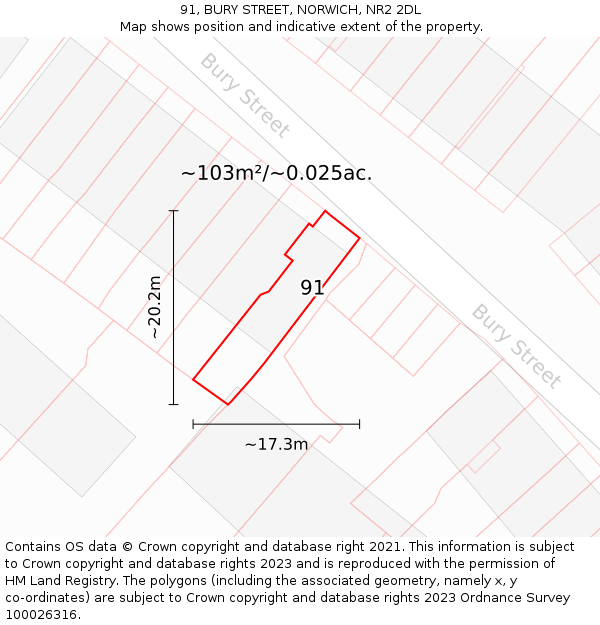 91, BURY STREET, NORWICH, NR2 2DL: Plot and title map
