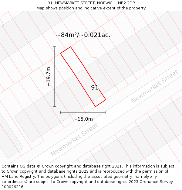 91, NEWMARKET STREET, NORWICH, NR2 2DP: Plot and title map