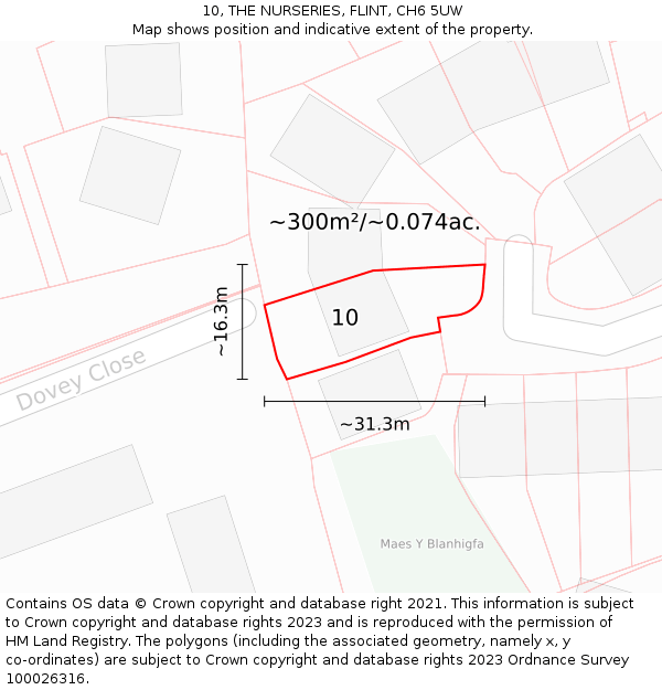 10, THE NURSERIES, FLINT, CH6 5UW: Plot and title map