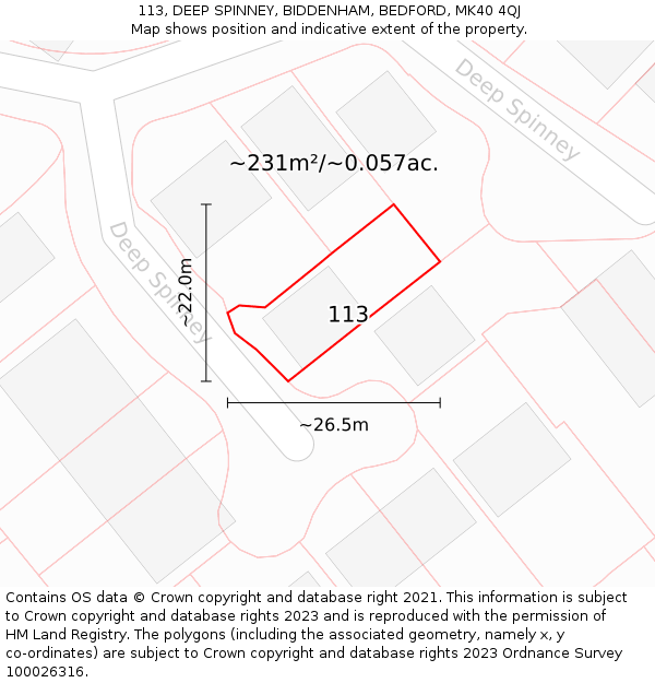 113, DEEP SPINNEY, BIDDENHAM, BEDFORD, MK40 4QJ: Plot and title map