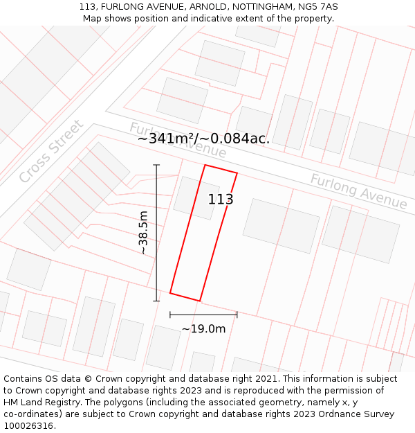 113, FURLONG AVENUE, ARNOLD, NOTTINGHAM, NG5 7AS: Plot and title map