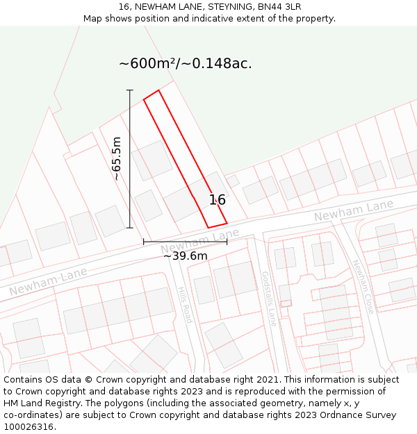 16, NEWHAM LANE, STEYNING, BN44 3LR: Plot and title map