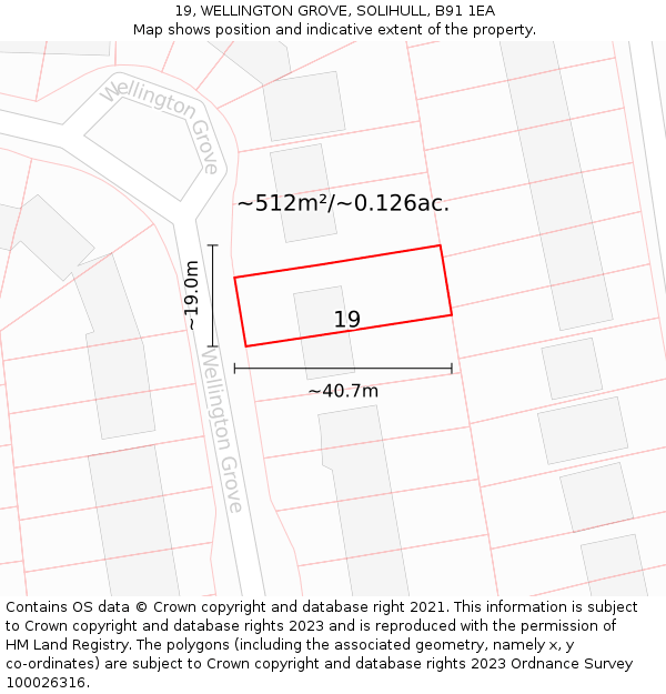 19, WELLINGTON GROVE, SOLIHULL, B91 1EA: Plot and title map