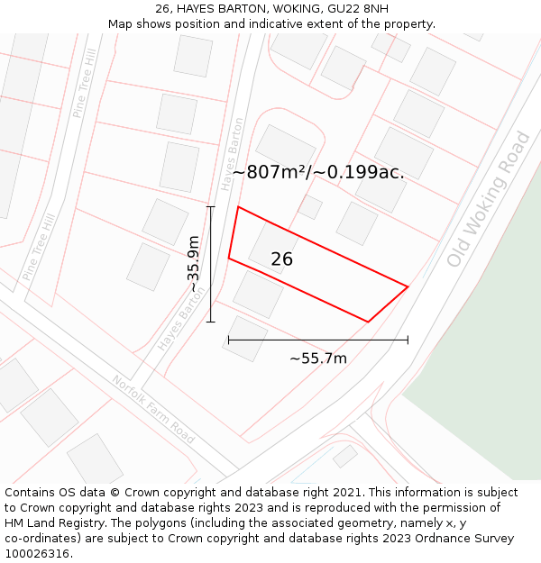 26, HAYES BARTON, WOKING, GU22 8NH: Plot and title map