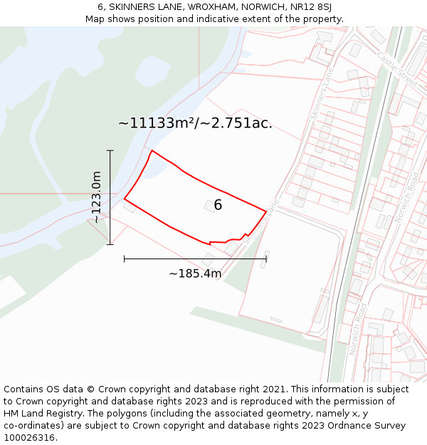 6, SKINNERS LANE, WROXHAM, NORWICH, NR12 8SJ: Plot and title map