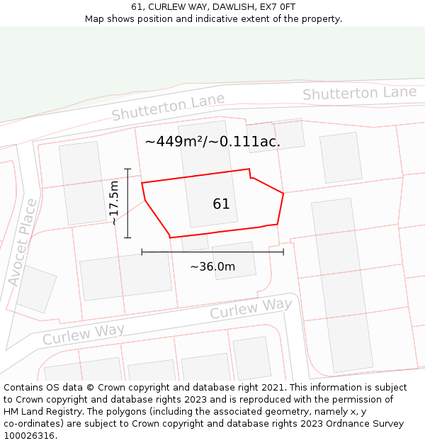 61, CURLEW WAY, DAWLISH, EX7 0FT: Plot and title map