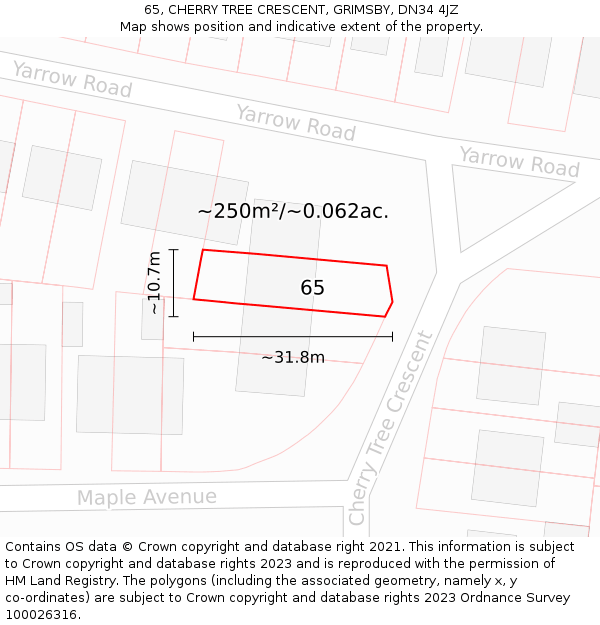 65, CHERRY TREE CRESCENT, GRIMSBY, DN34 4JZ: Plot and title map