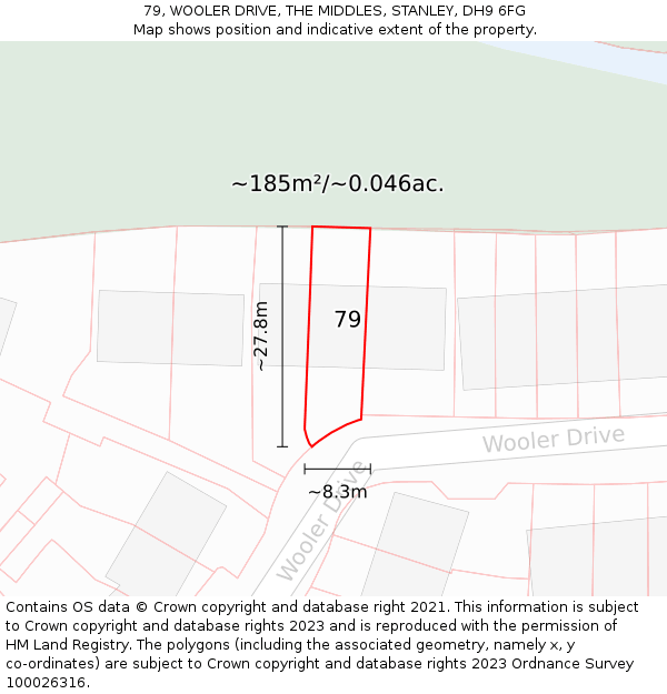 79, WOOLER DRIVE, THE MIDDLES, STANLEY, DH9 6FG: Plot and title map