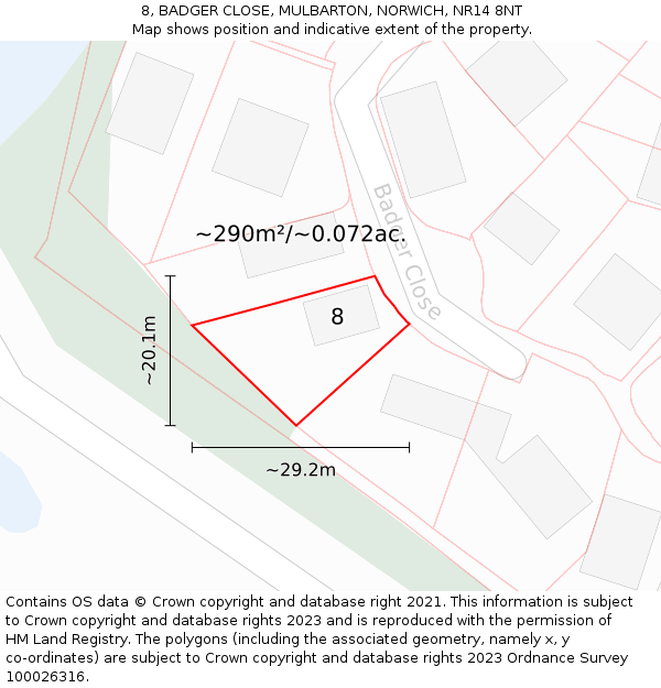 8, BADGER CLOSE, MULBARTON, NORWICH, NR14 8NT: Plot and title map