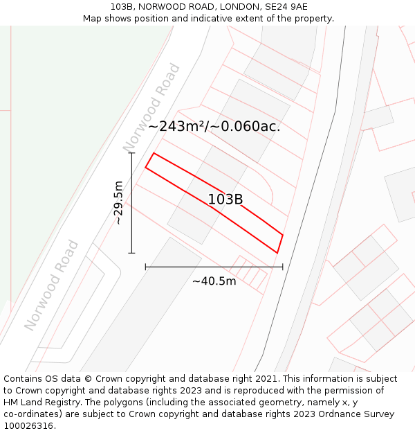 103B, NORWOOD ROAD, LONDON, SE24 9AE: Plot and title map