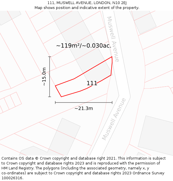 111, MUSWELL AVENUE, LONDON, N10 2EJ: Plot and title map