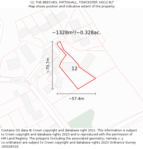 12, THE BEECHES, PATTISHALL, TOWCESTER, NN12 8LT: Plot and title map