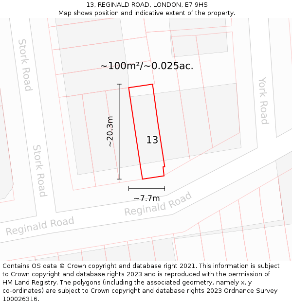 13, REGINALD ROAD, LONDON, E7 9HS: Plot and title map