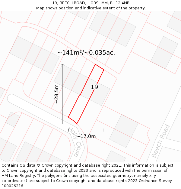 19, BEECH ROAD, HORSHAM, RH12 4NR: Plot and title map