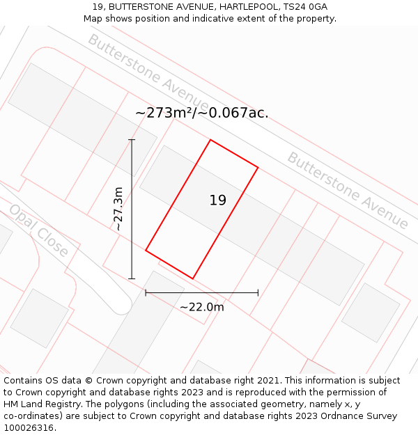 19, BUTTERSTONE AVENUE, HARTLEPOOL, TS24 0GA: Plot and title map