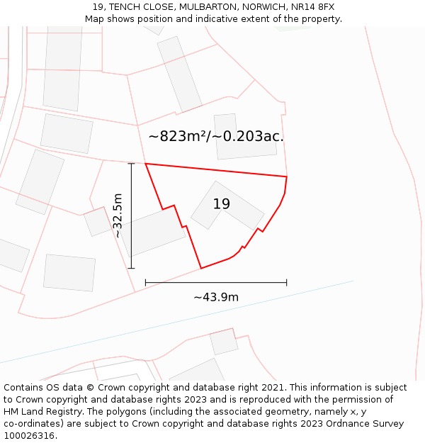19, TENCH CLOSE, MULBARTON, NORWICH, NR14 8FX: Plot and title map
